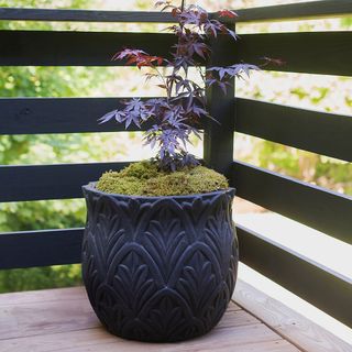 balcony garden planter