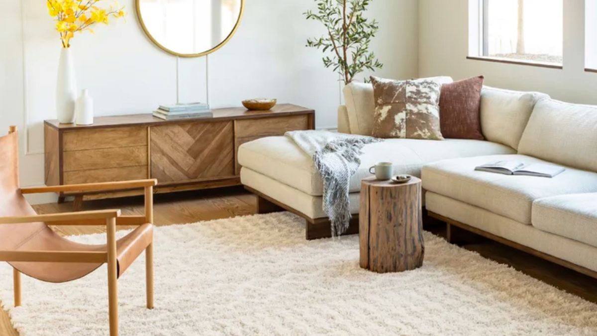 Wayfair rugs The 9 most expensive looking buys we've found for renters