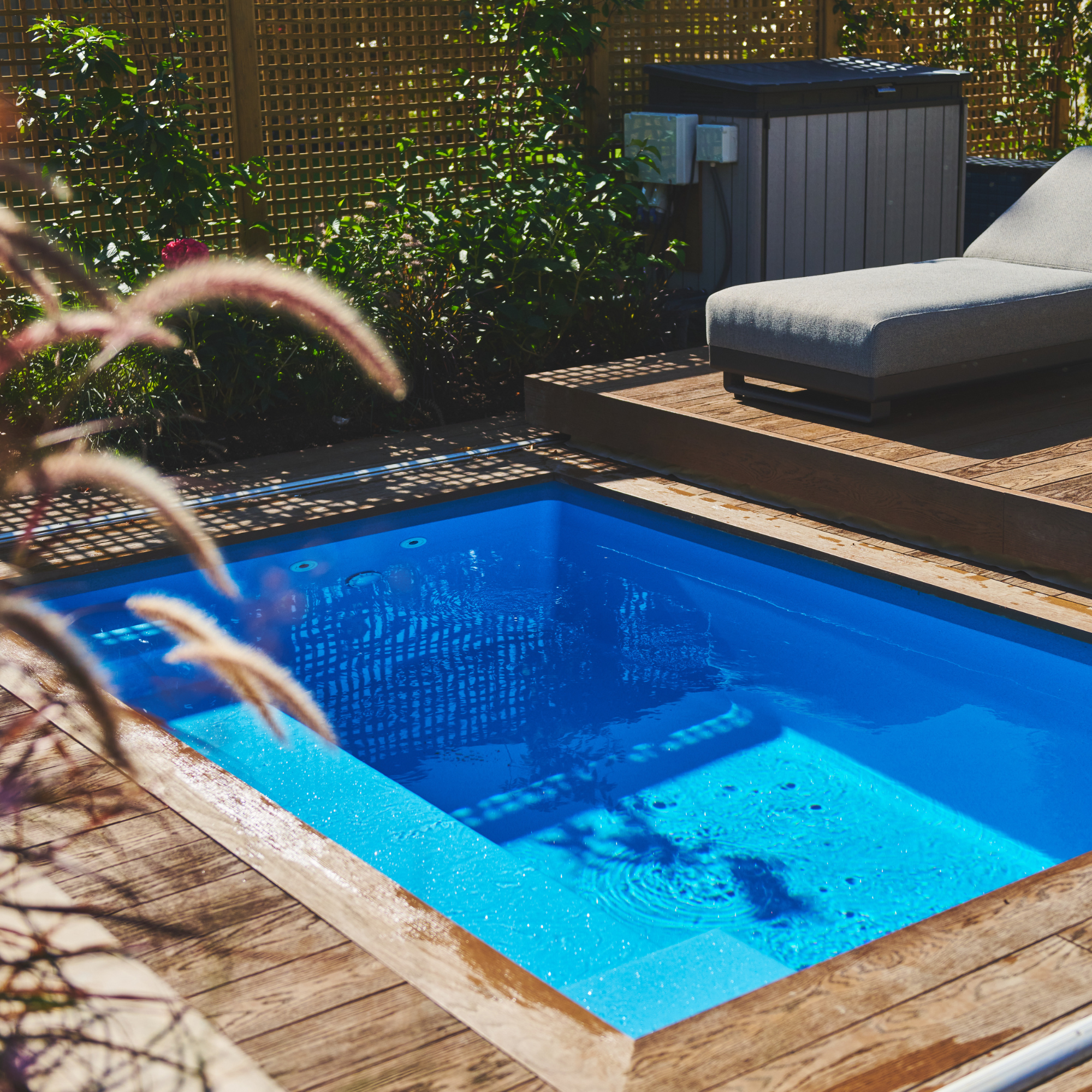 Compass plunge pool in situ in a back garden with decking