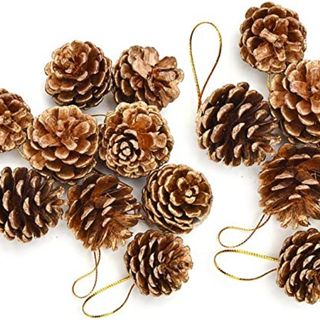 Amazon pine cone decorations
