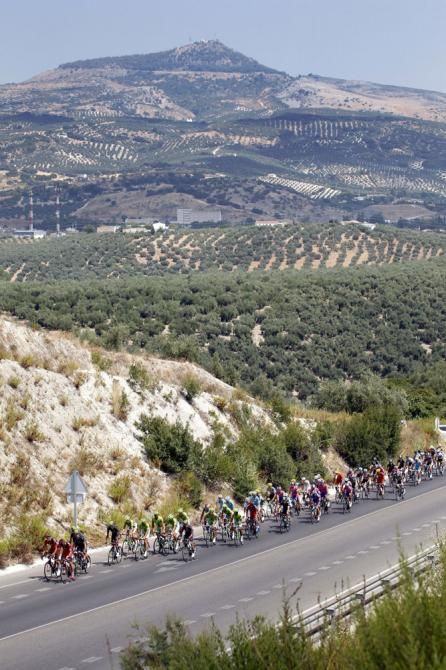 The Vuelta a Espana peloton makes its way from Antequera to Valdepe&ntilde;as de Ja&eacute;n during stage 9