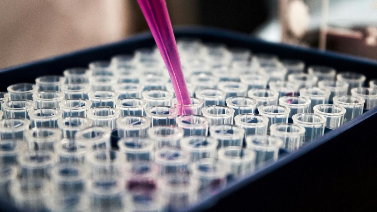 A large number of glass test tubes in a holder. A pink pipette is being lowered into one of them.