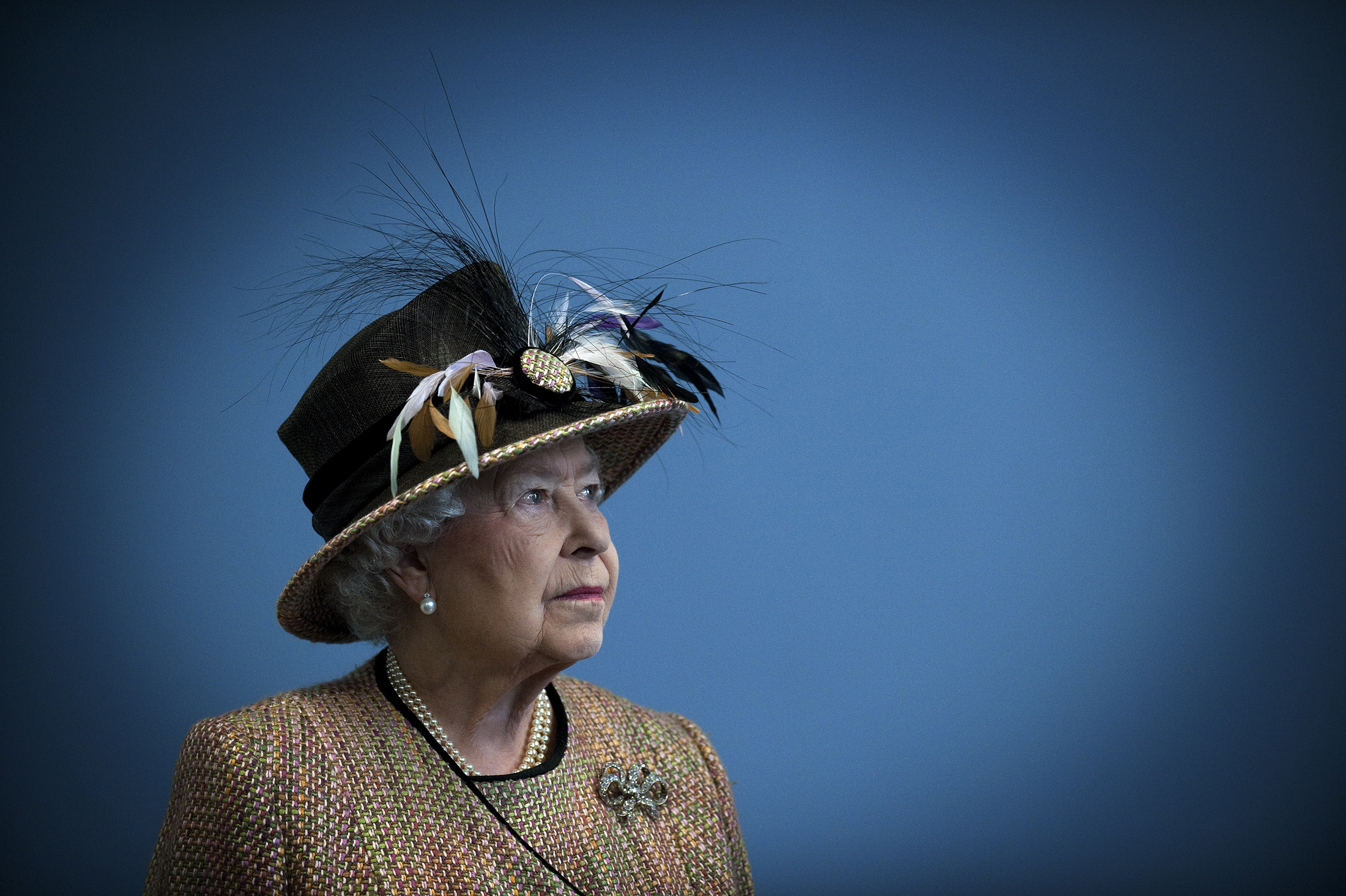 Queen Elizabeth standing against a blue background wearing a black hat with feathers