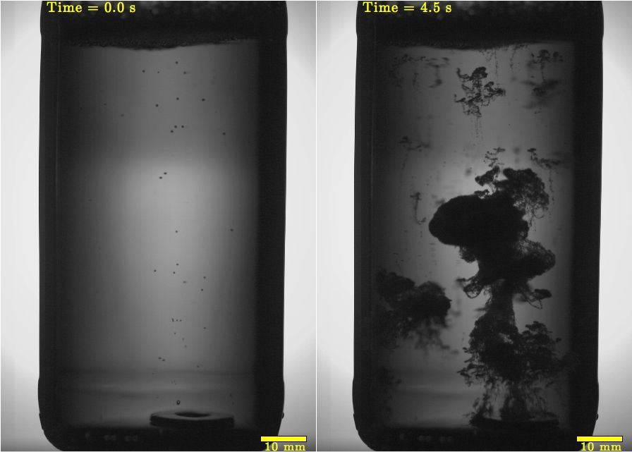 Explosive Beer Trick Explained by Physics Live Science