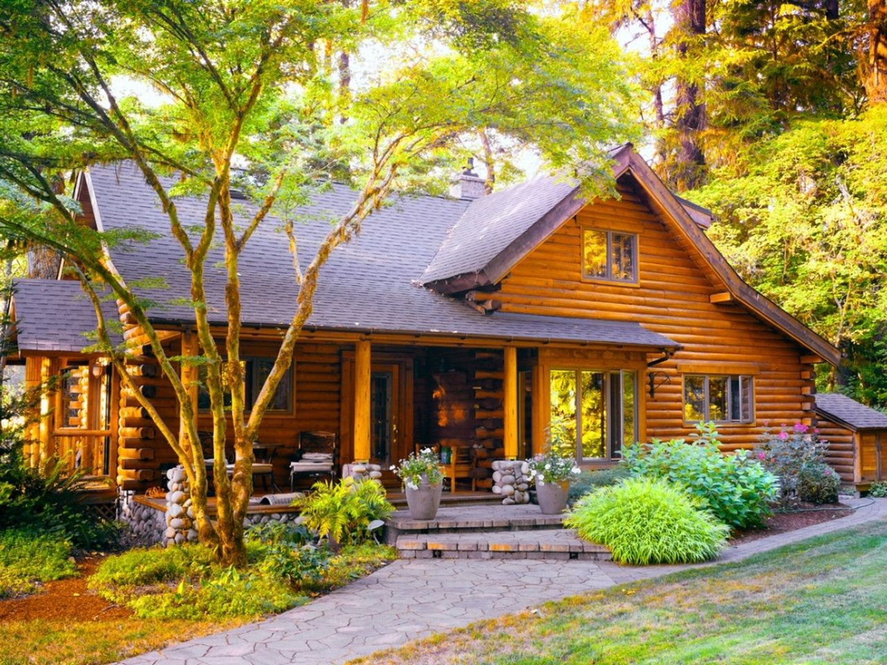 An idyllic cabin in the woods