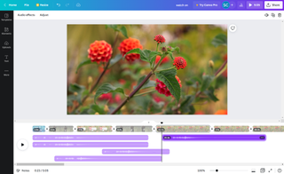 Canva Video's free video editing software during our test and review session