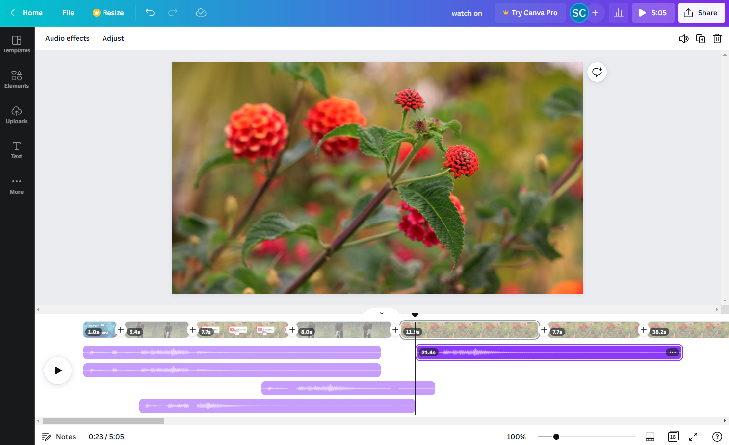 Canva Video's free video editing software in action