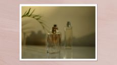 A close up of three glass perfume bottles, pictures on a shadowy, aesthetic dresser/ in a pale lavender template