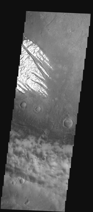 Martian Dust Storms