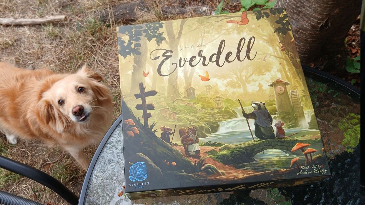 I highly recommend these great family board games, and I think they are essential purchases