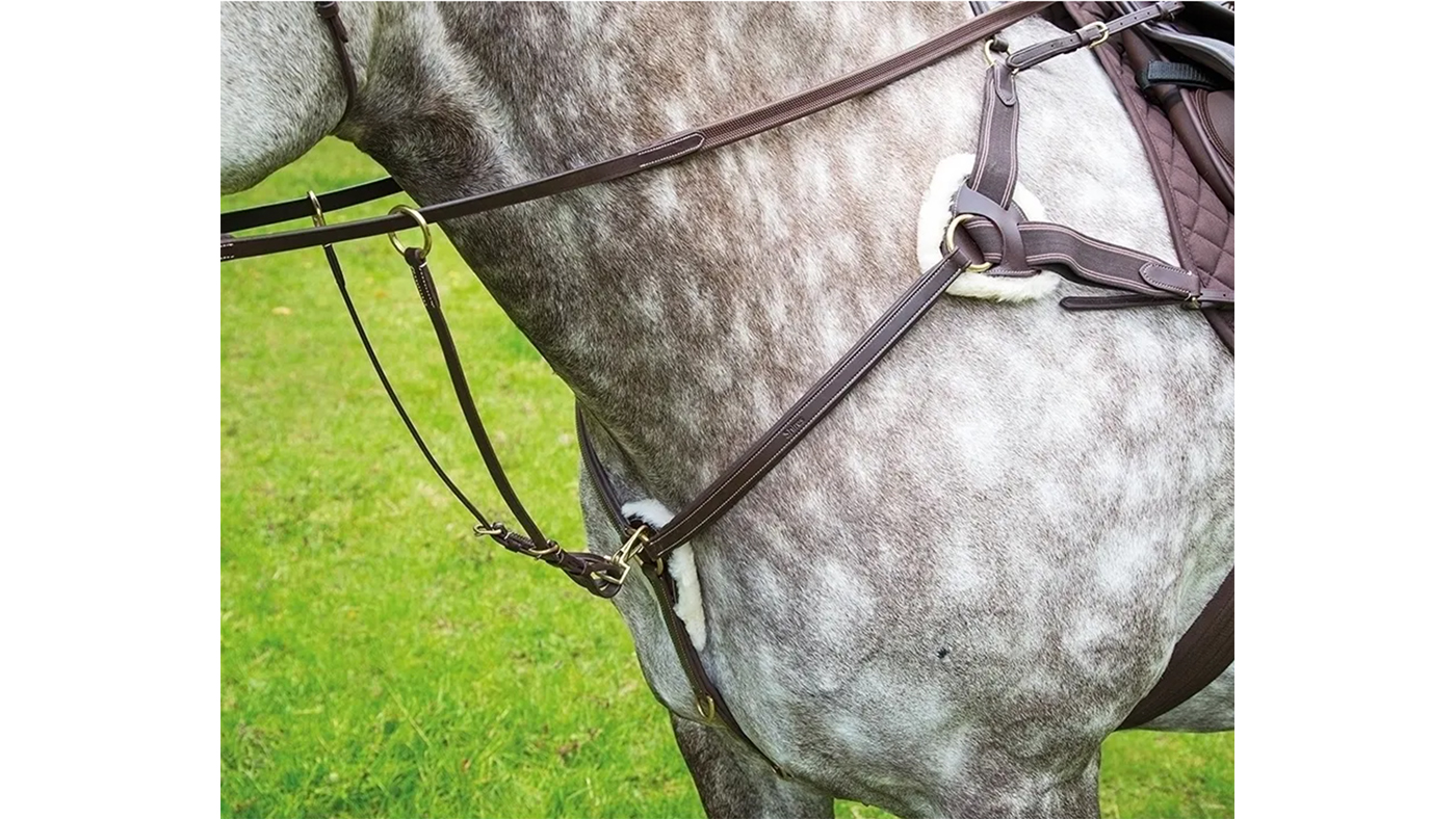 Shires Salisbury 5-Point Breastplate