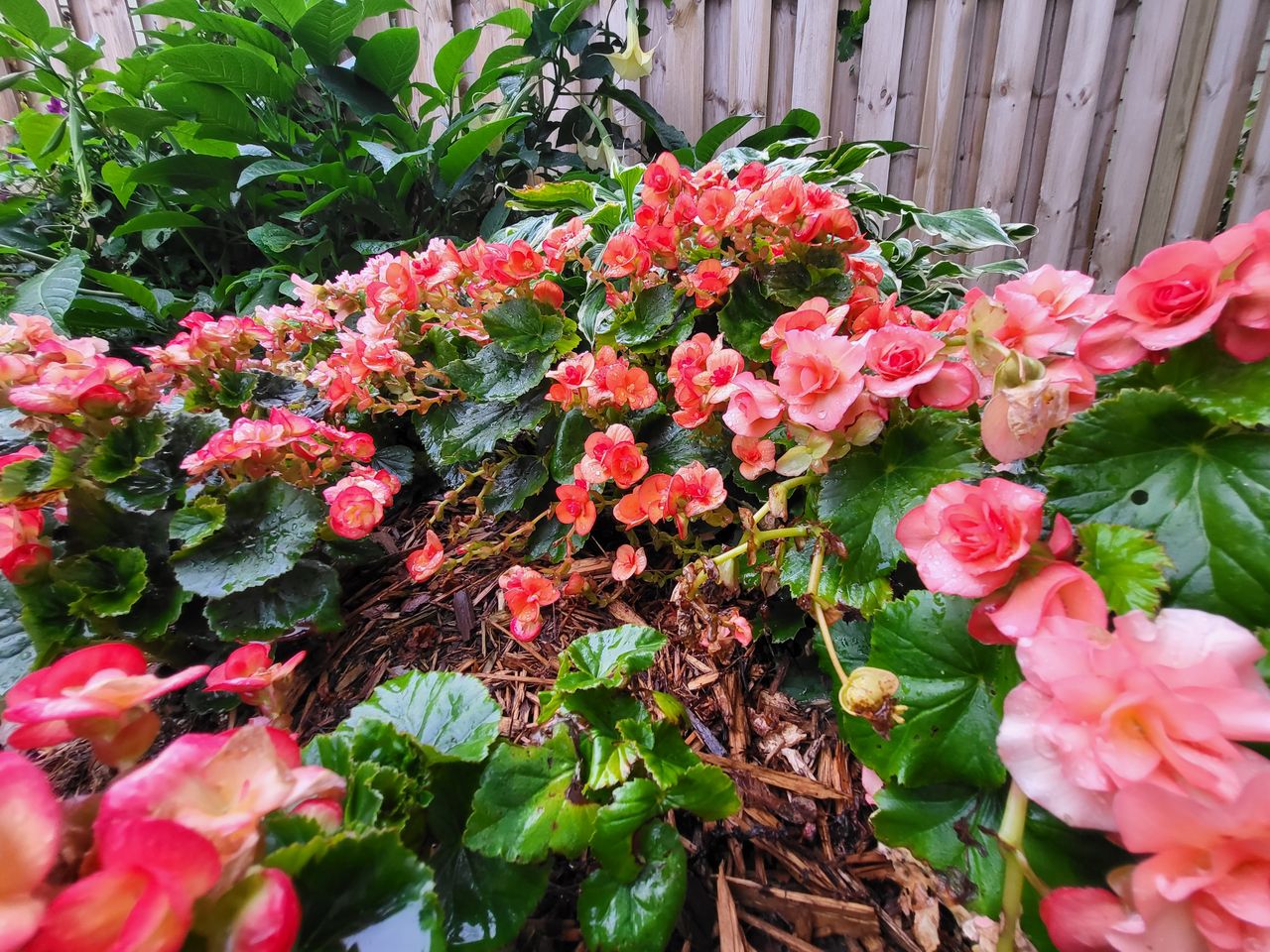 Samsung Galaxy Z Flip 3 camera samples