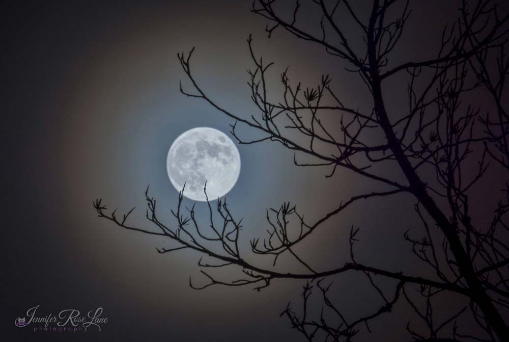 The full moon of March 23, 2016, shines brightly in this image taken in Chapmanville, West Virginia, by photographer Jennifer Rose Lane. 