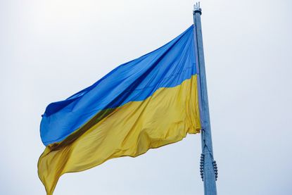 Ukraine flag 2022