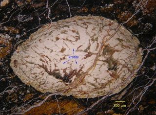 Krotite mineral is shown as the darker veins running through the egg-shaped grain (called "cracked egg") in the ancient meteorite.