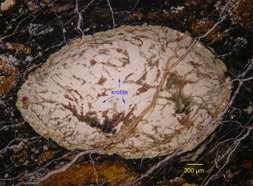 Krotite mineral is shown as the darker veins running through the egg-shaped grain (called &quot;cracked egg&quot;) in the ancient meteorite.