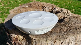 Roland Mood Pan on a tree stump