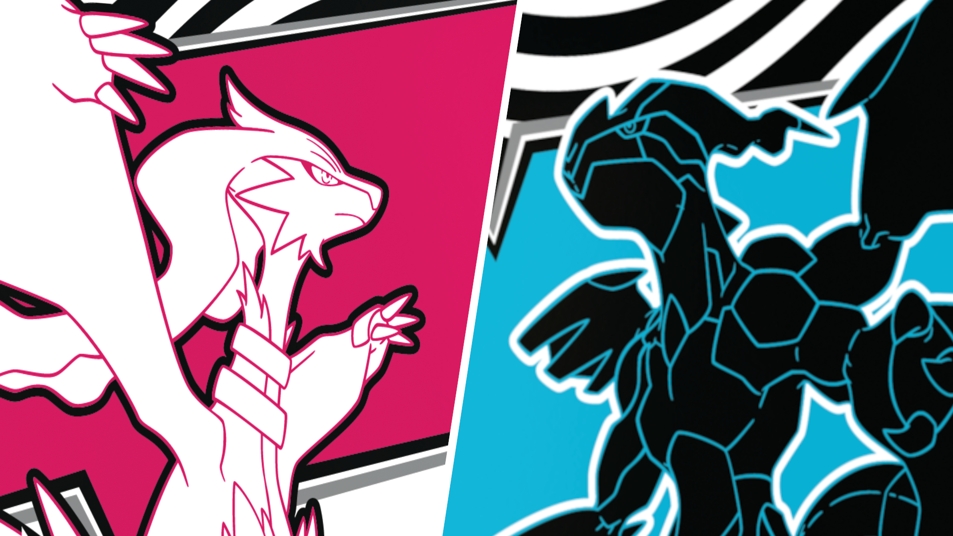 Pokemon White Flare &amp; Black Bolt Elite Trainer Box artwork divided by a white line