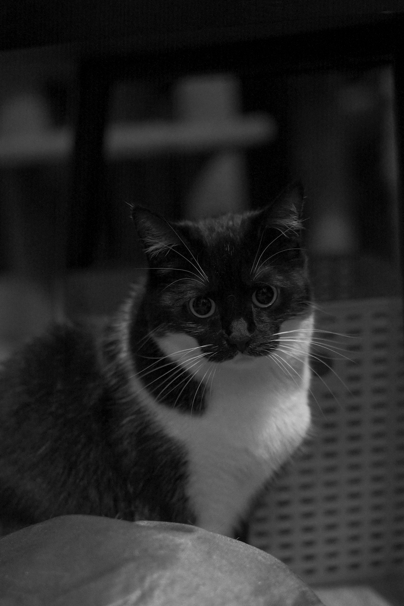 A photo taken on a Leica M EV1 rangefinder-style digital camera