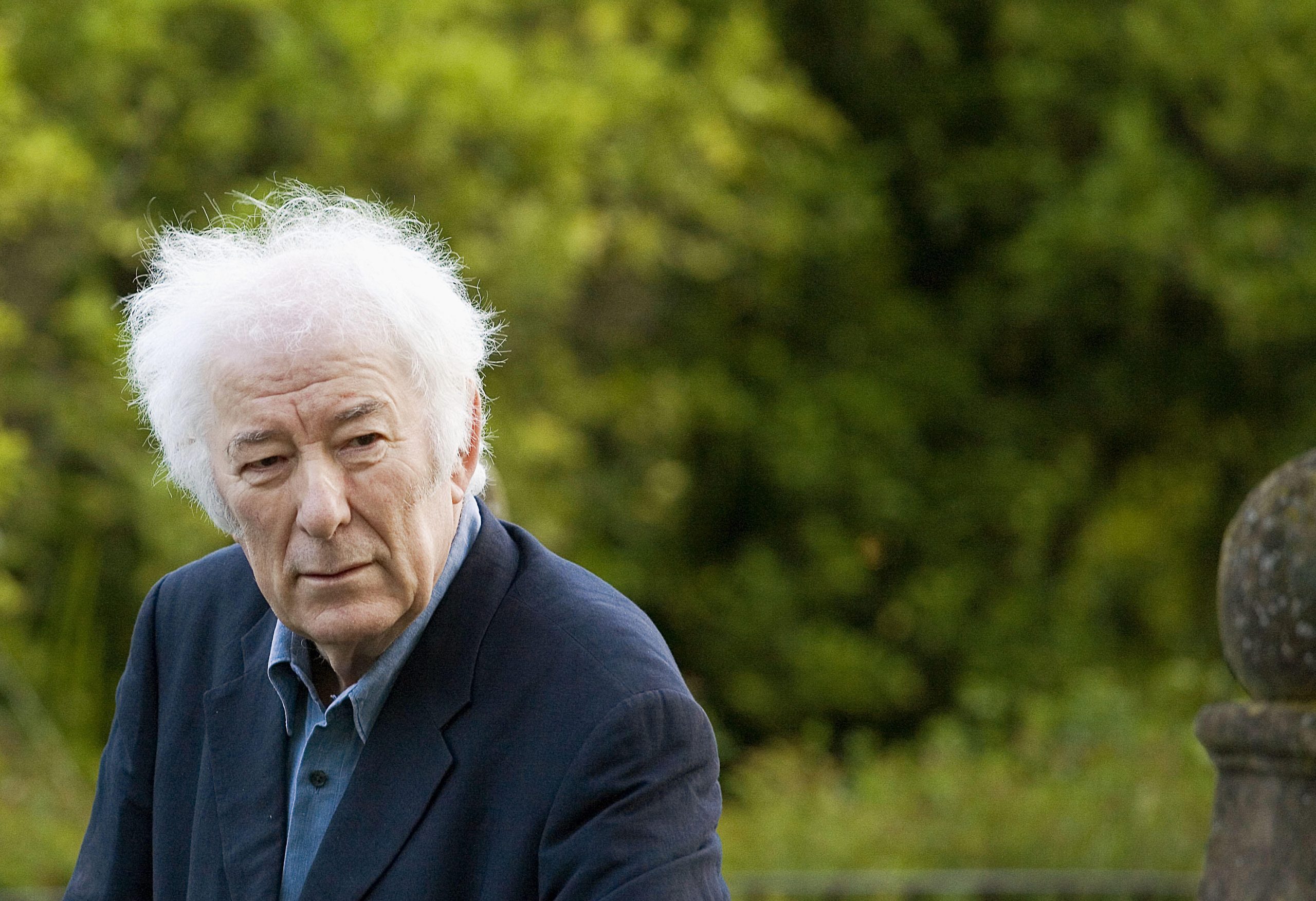 Celebrated Irish poet Seamus Heaney won the Nobel Prize in Literature in 1995.