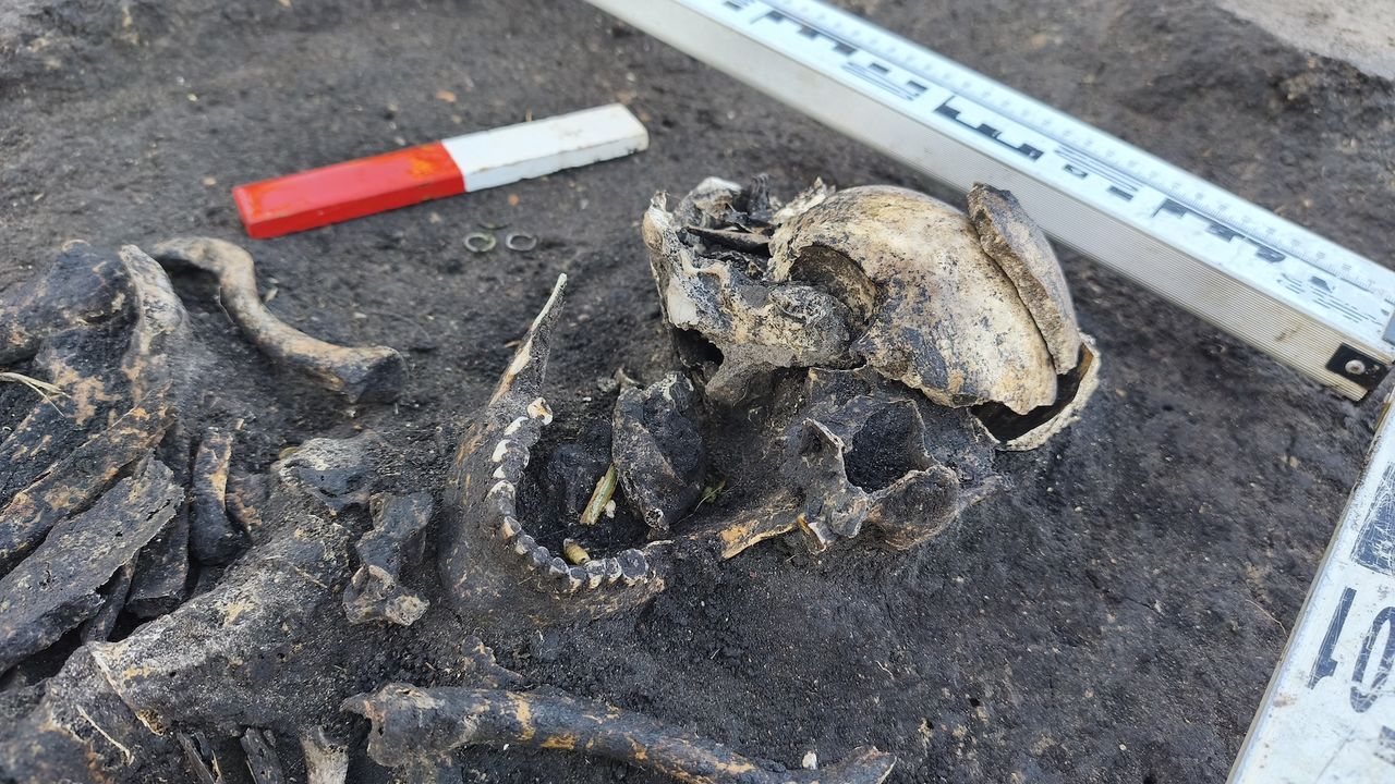1,000-year-old burials of 'first Christians' in Poland discovered near medieval settlement