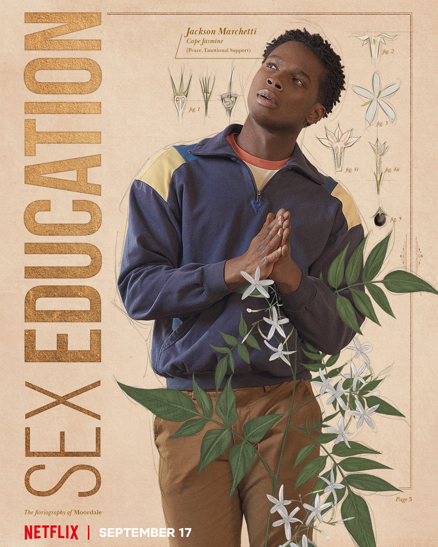 Kedar Williams-Stirling as Jackson Marchetti, partnered with an illustration of Cape Jasmine.