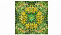 Orboretum: The Orb Collection (The Orb)
