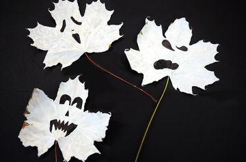 Halloween crafts for kids: Homemade decorations and more spooky ideas ...