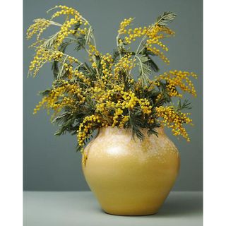 Rustic yellow vase with green and yellow foliage