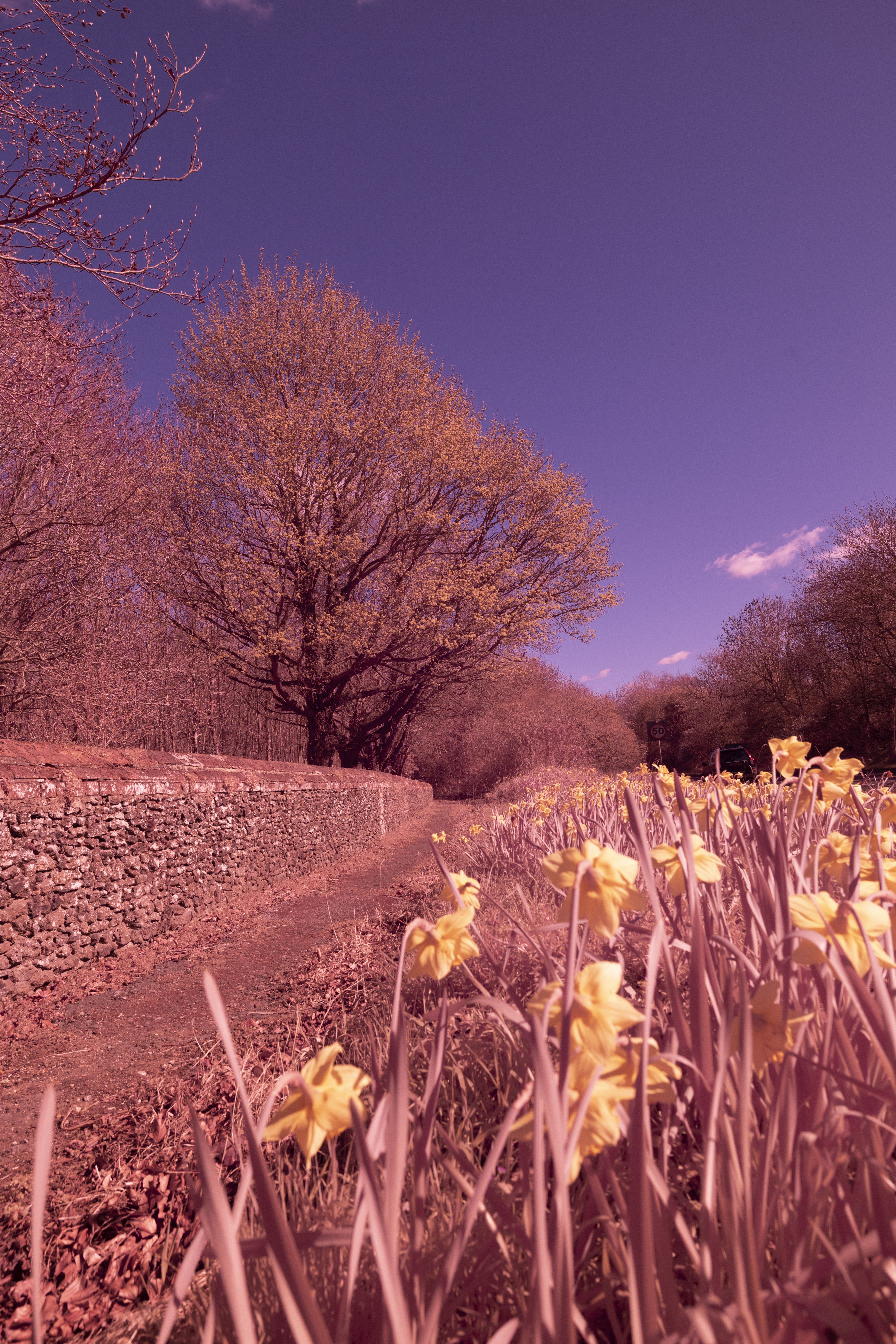 ICE Infrared Filter HB760 Test Shot