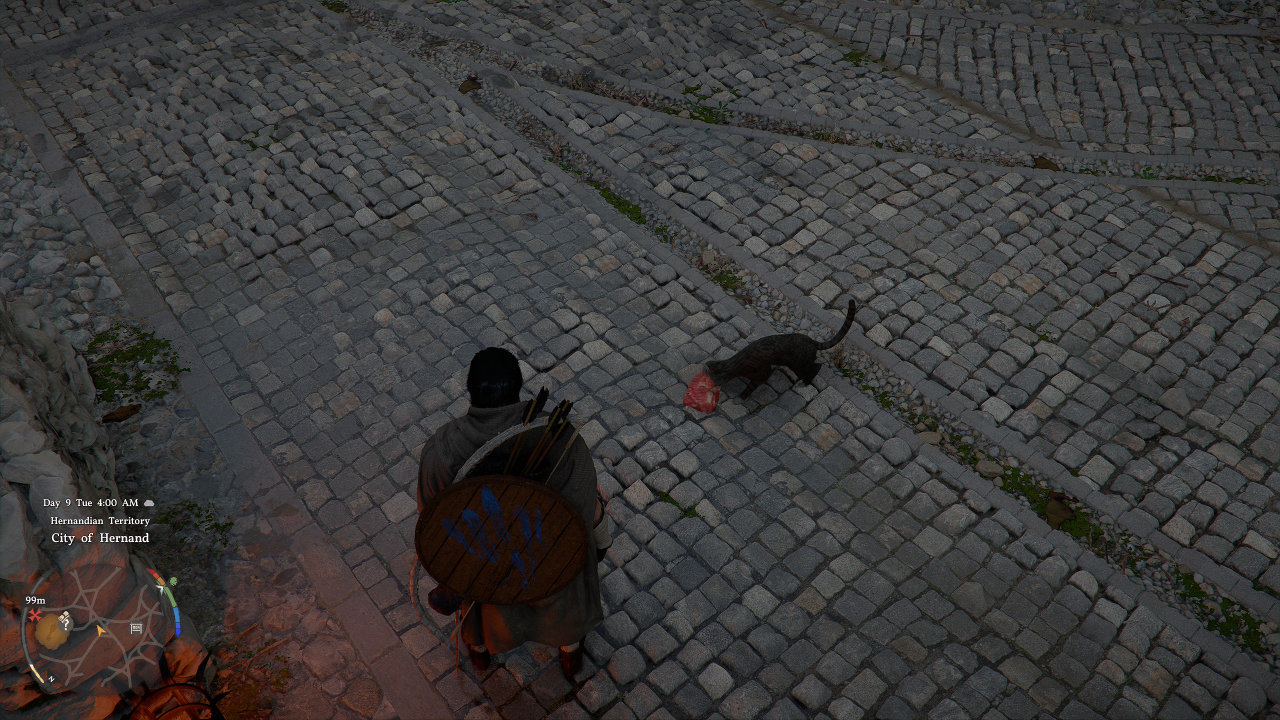 Crimson Desert pets - Feeding a cat