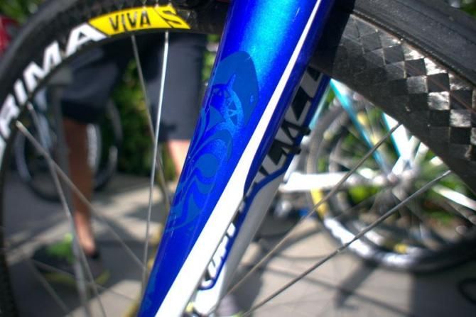 Nice detailing on the fork of Nibali's Tarmac