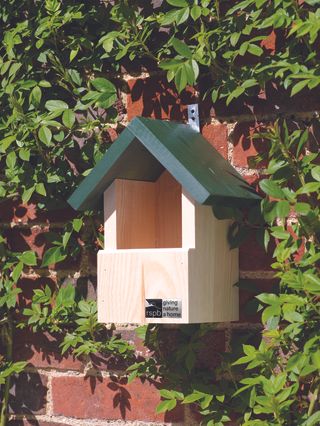 open nest box on a brick wall surrounded by climbing plants rspb