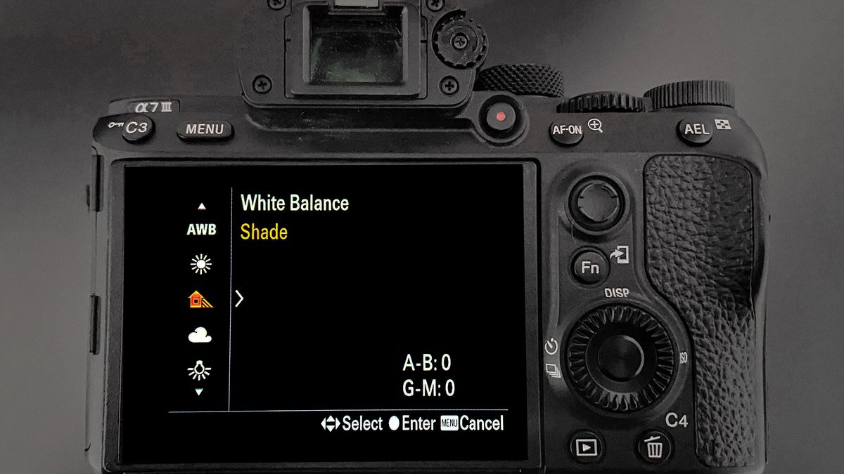 Harness the WB settings on your camera to get ‘pure’ whites or get ...