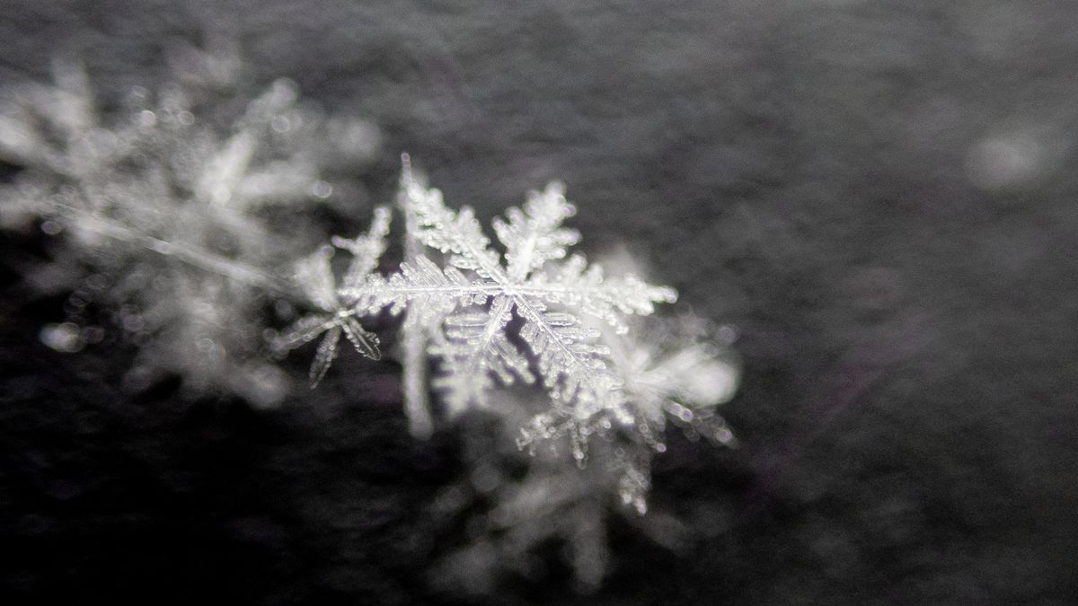 Macro photos taken with the OM System TG-7 of a snowflake