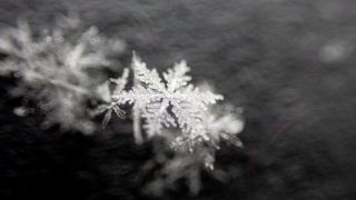 Macro photos taken with the OM System TG-7 of a snowflake