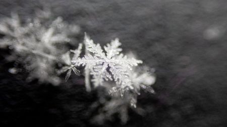 Macro photos taken with the OM System TG-7 of a snowflake