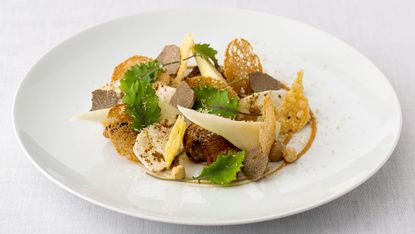 new-forest-wild-mushroom-salad-roasted-hazelnut-pears-and-sourdough-croutons.jpg