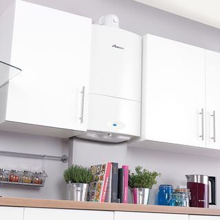 kitchen with boiler and books and potted plant