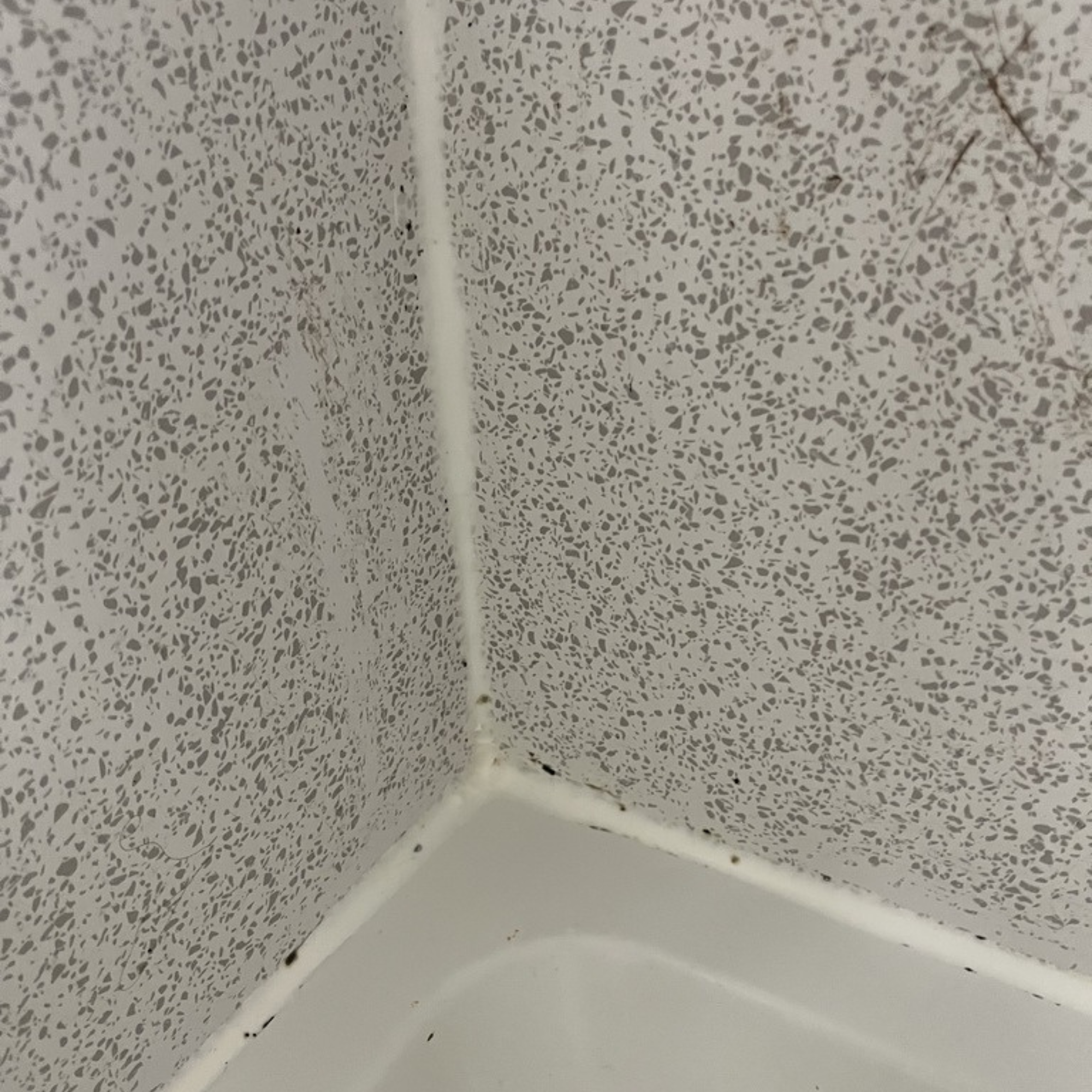 My shower after rinsing mould gel - it is pretty much gone.