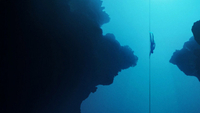   The Deepest Breath
