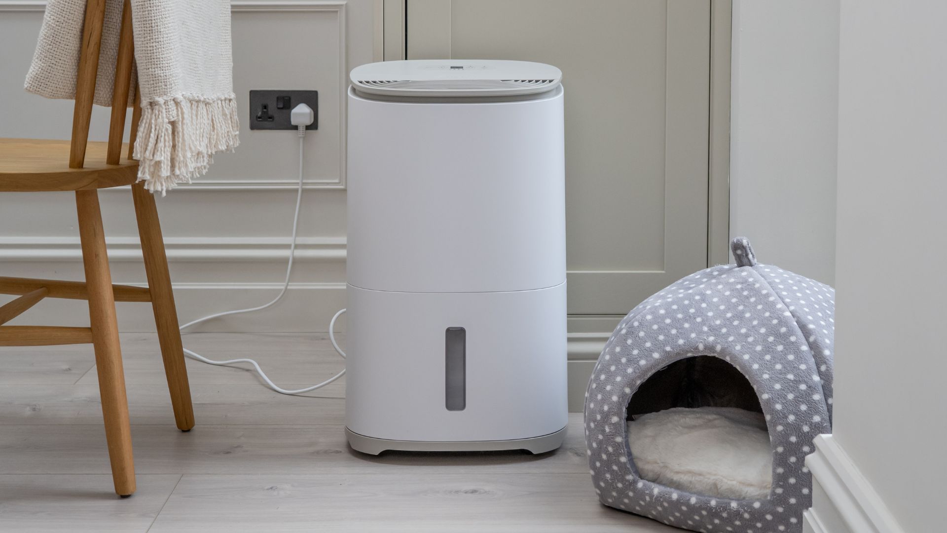 MeacoDry Arete One Dehumidifier next to a dog bed