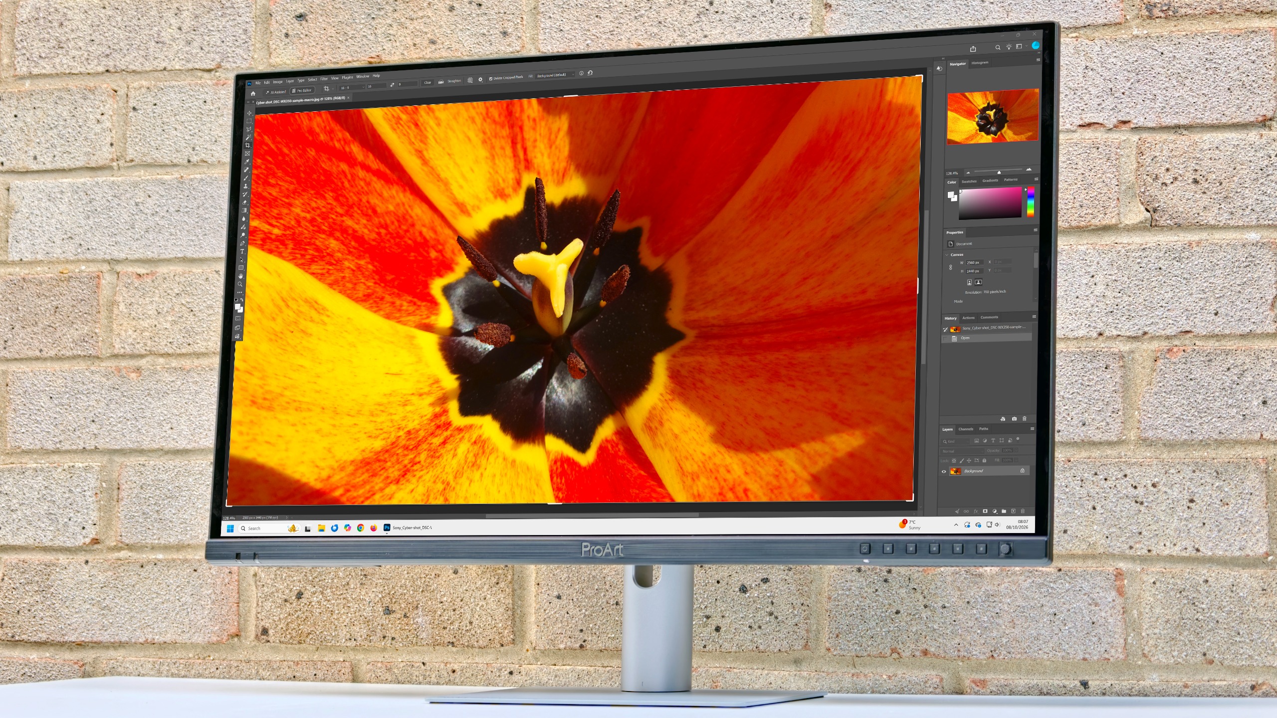 Is OLED worth the price premium over LCD? Spoiler alert: definitely!