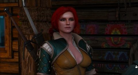 witcher 3 gay mod witcher 3 gay mod