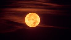Yellow moon in sky