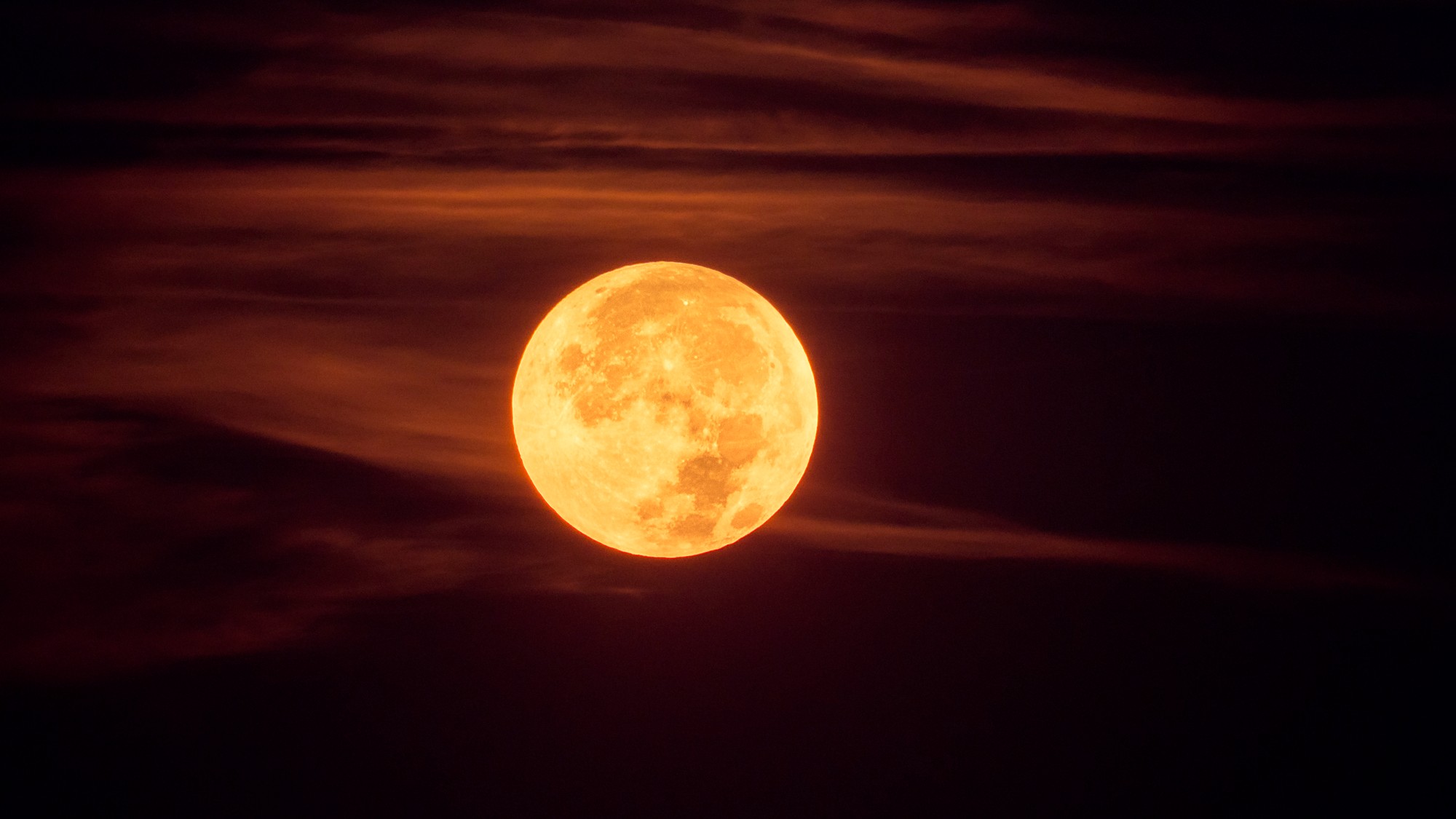 Yellow moon in sky