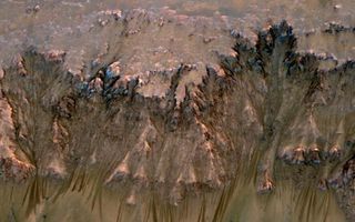 Newton Crater