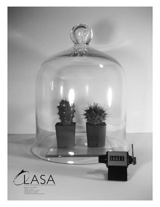 LASA Keats Plants