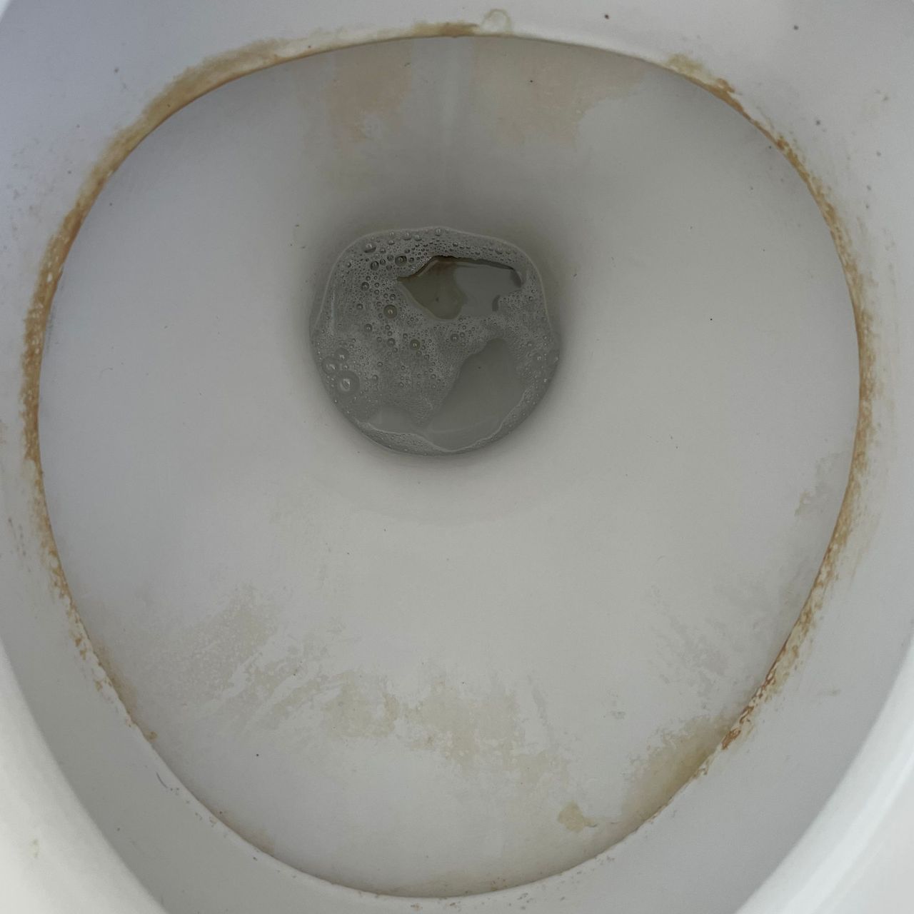 A white toilet bowl with a ring of limescale around the edge.