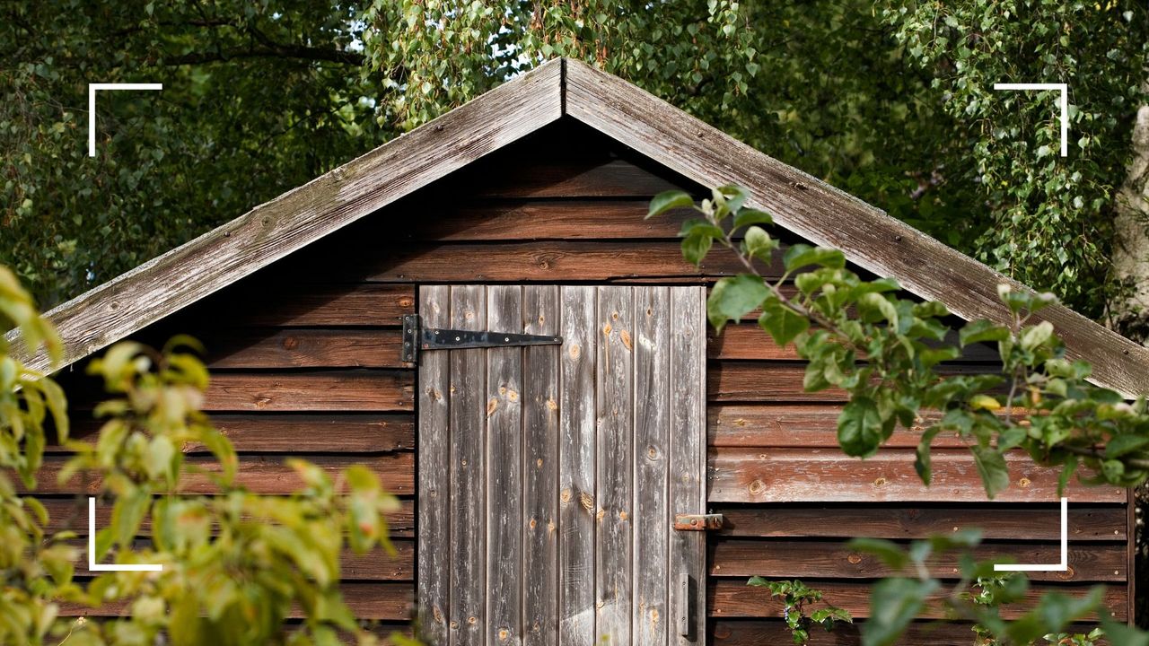 picture of a garden shed surrounded by trees